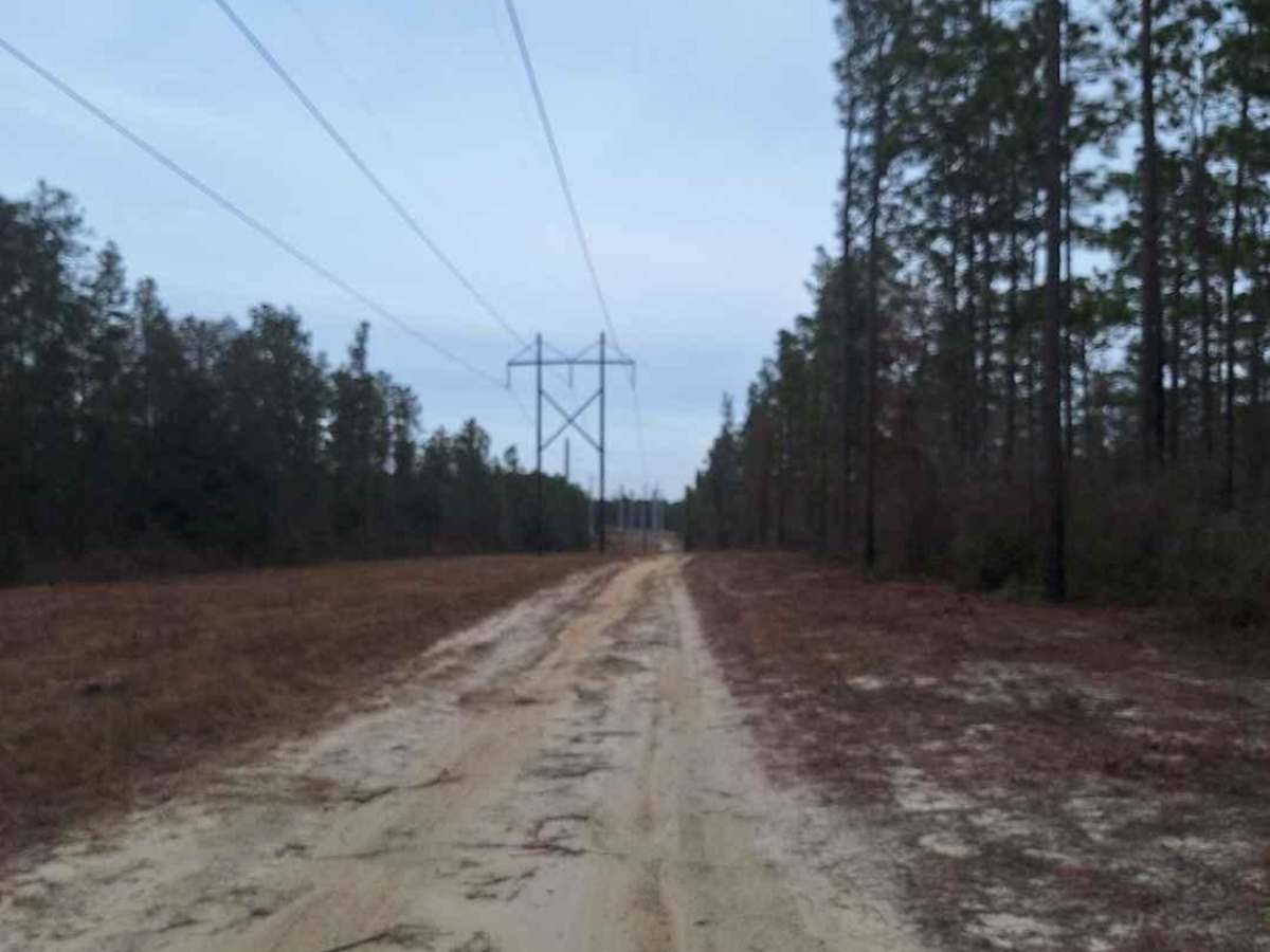 Freebirds North trail photo