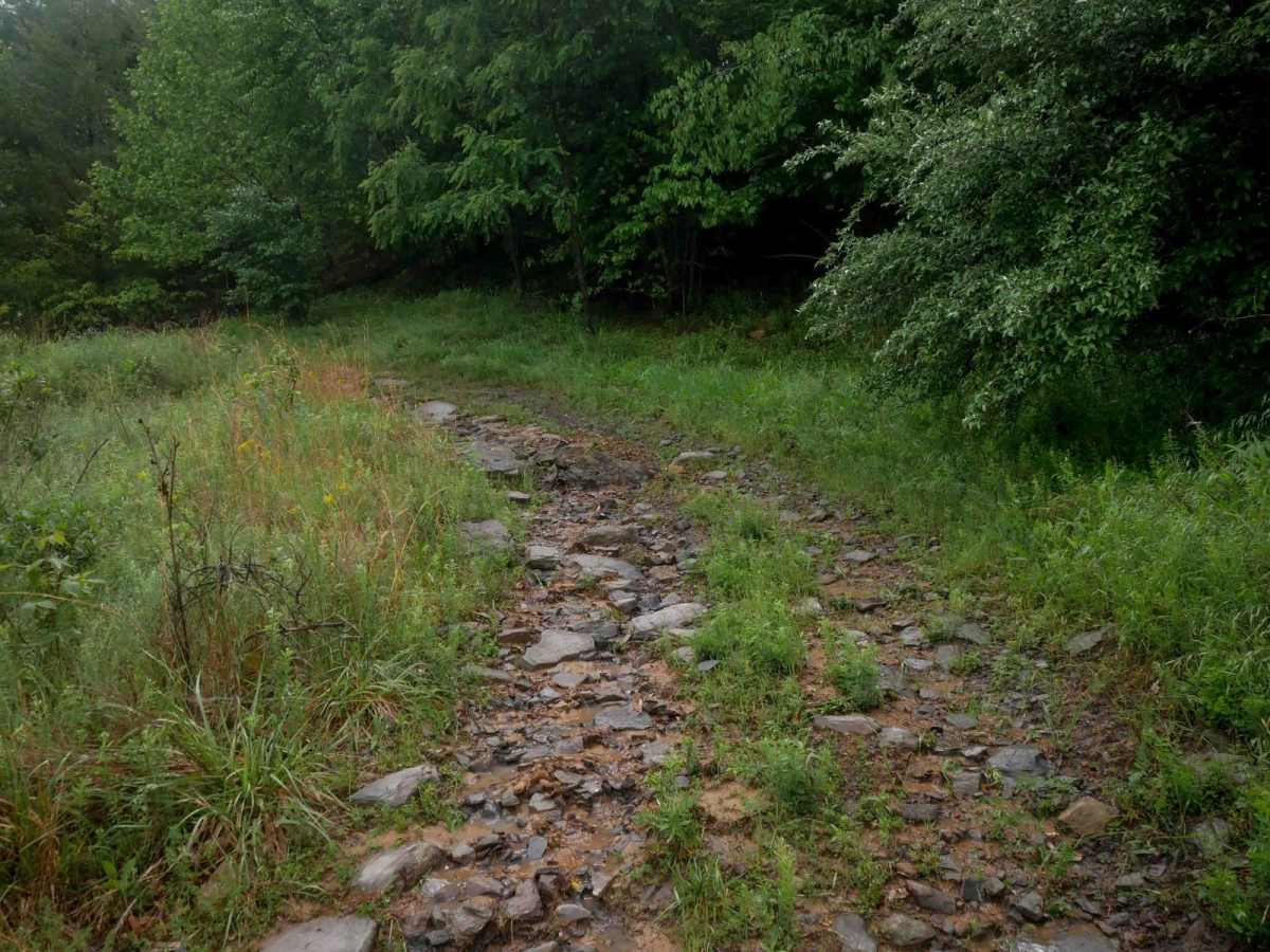 CC10 trail photo