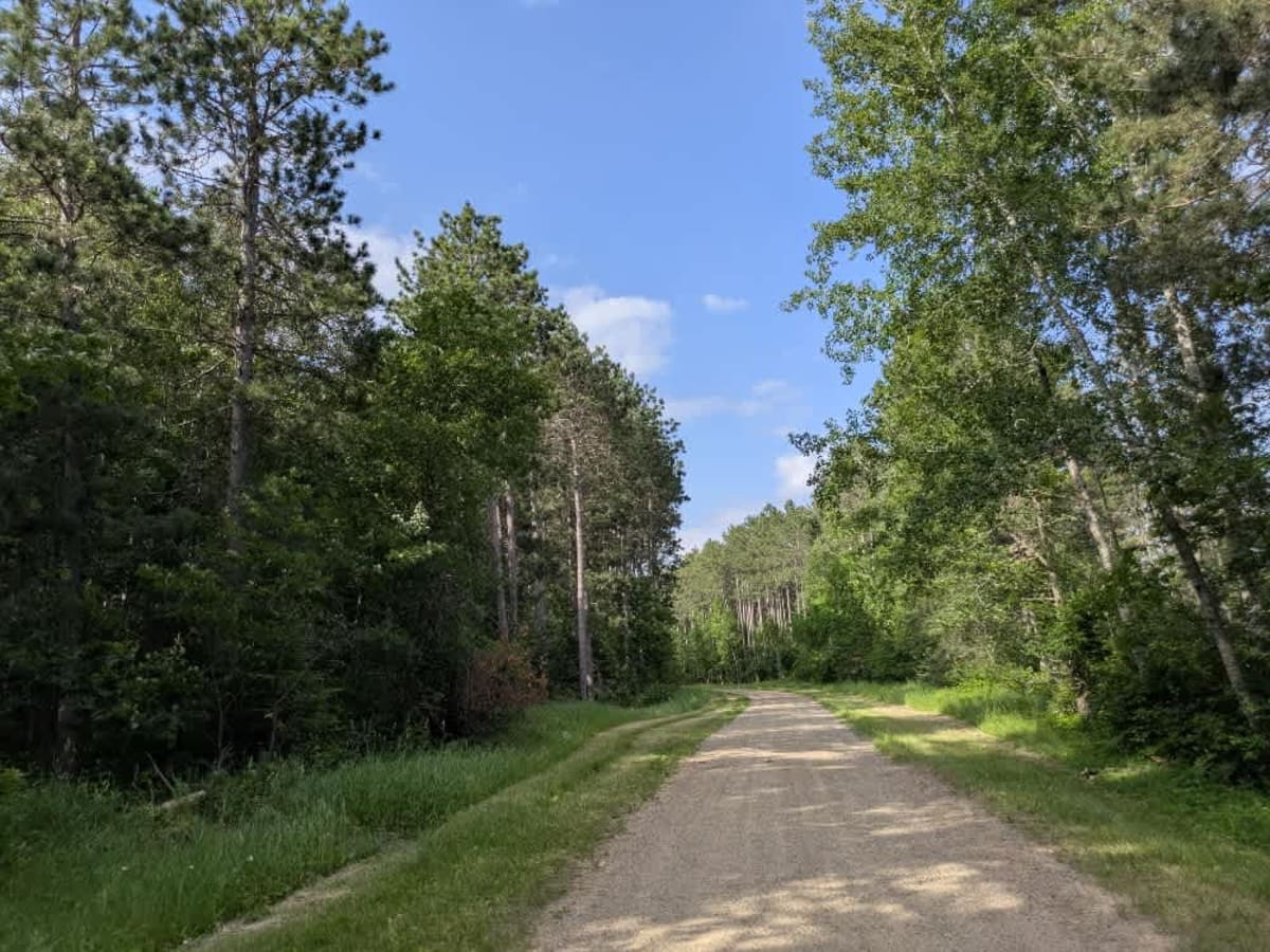 FS 3759 trail photo
