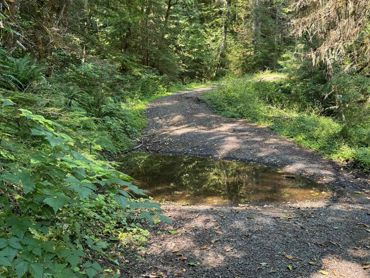 Cougar Rock Connecting Trail photo 3