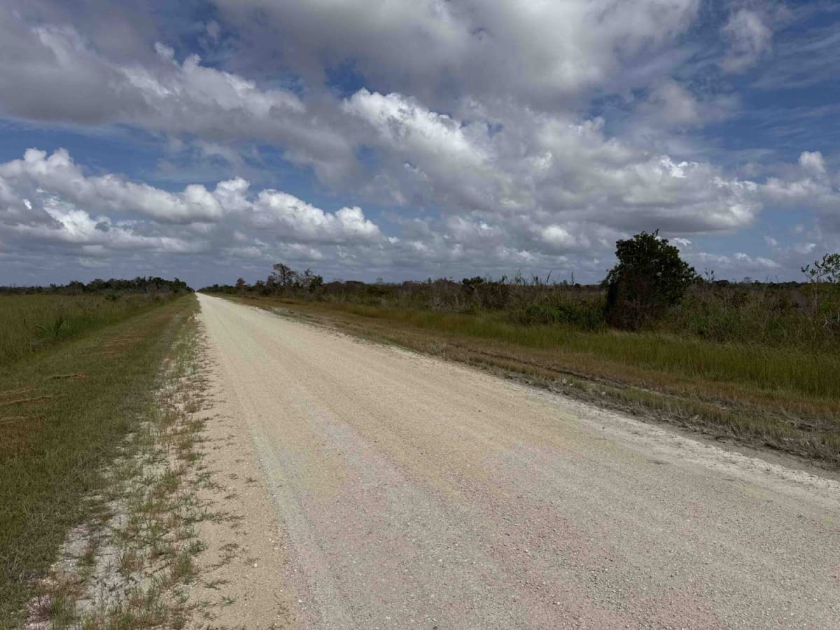 Turner River Road - CR 839 photo 3