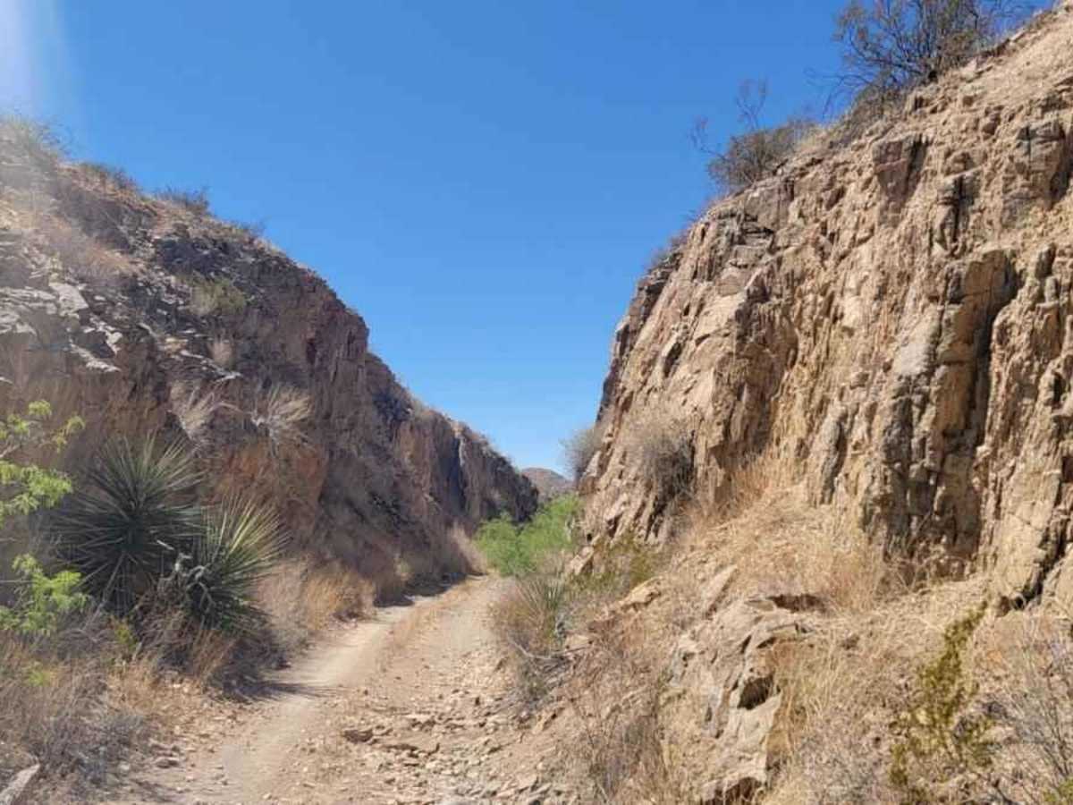 Cut Out Loop trail photo