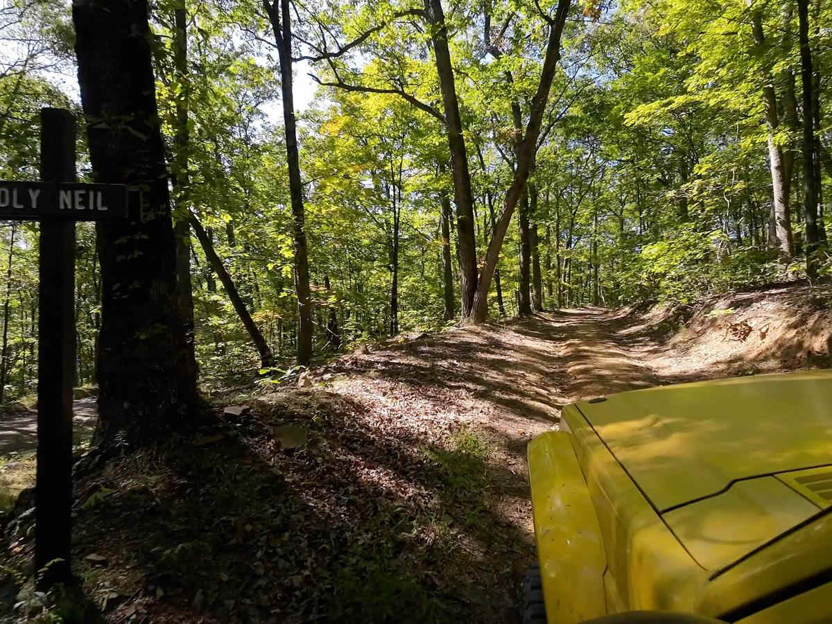 Poly Neil trail photo