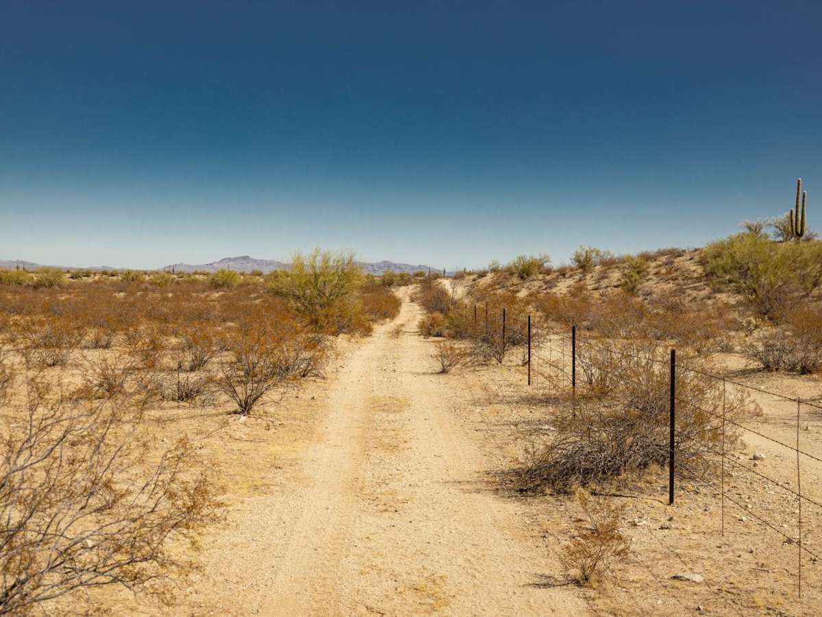 Fenceline Runout photo 2