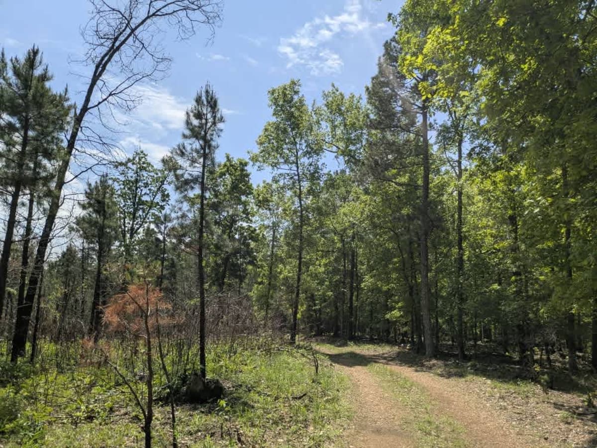 Casteel Road photo 4