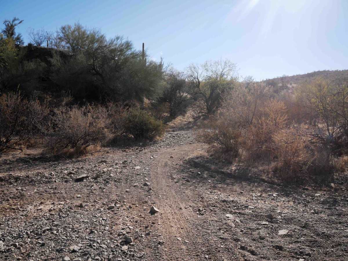 31095 photo 2