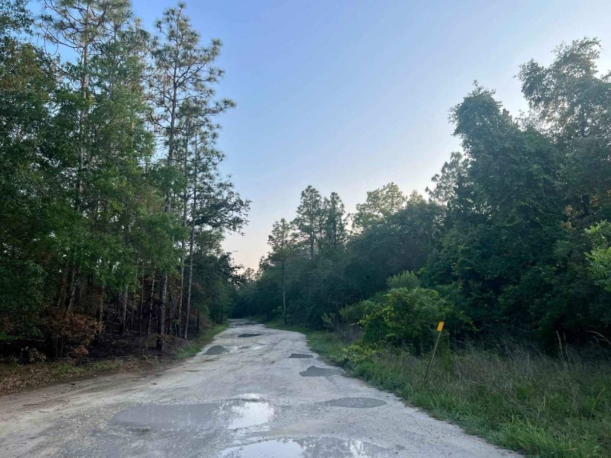 Citrus Wildlife Management | Trail 9 trail photo