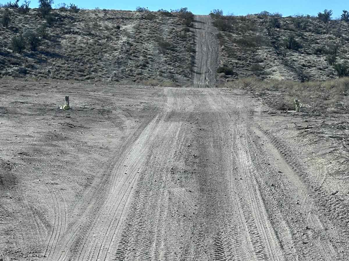 Kingman Rollercoaster photo 4