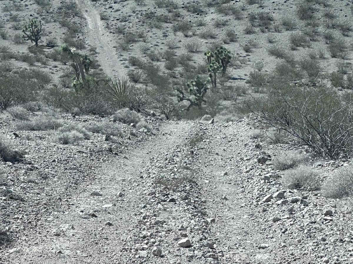 BLM Route 7951 photo 3