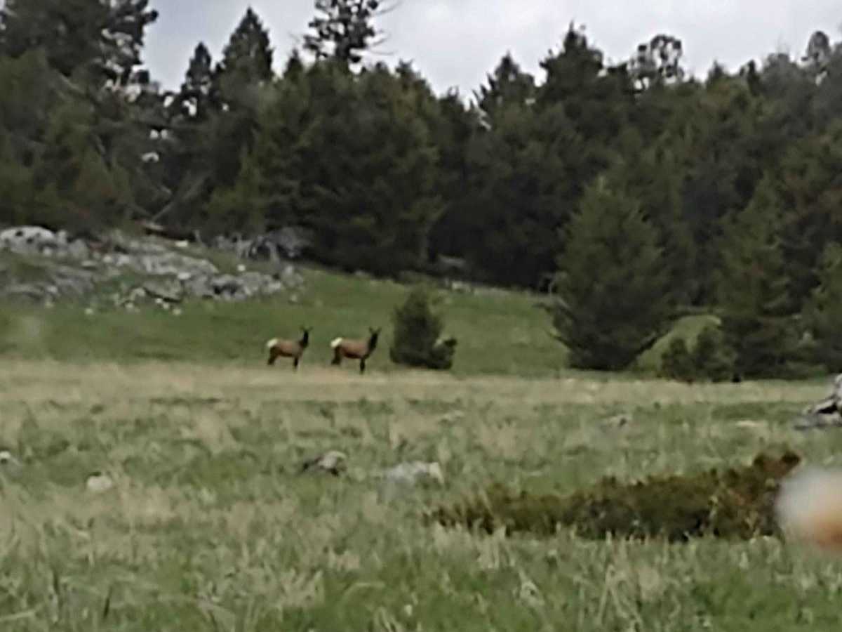 Cold Springs Road photo 5