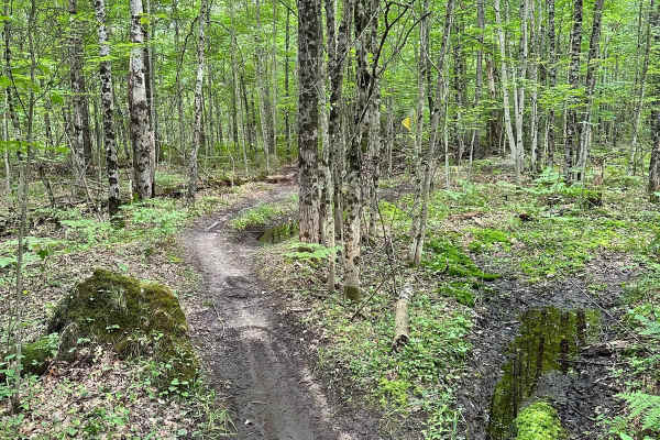 N/W Little Manistee Motorcycle Trail