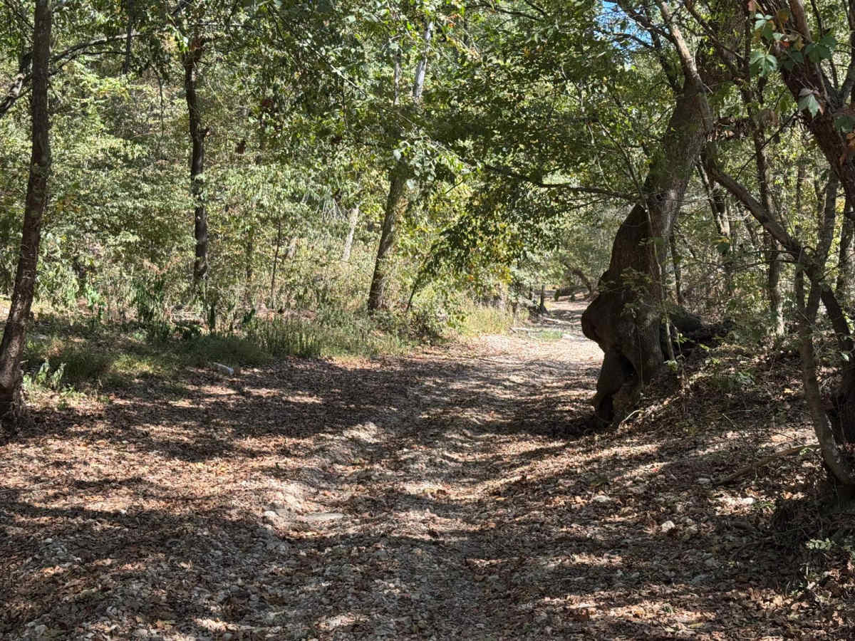 Creek Bed 12 photo 4