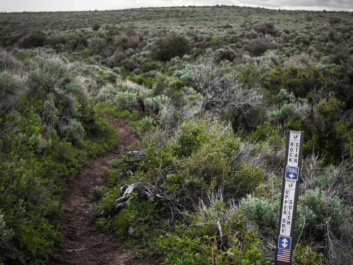 Upper Dry Gulch photo 2