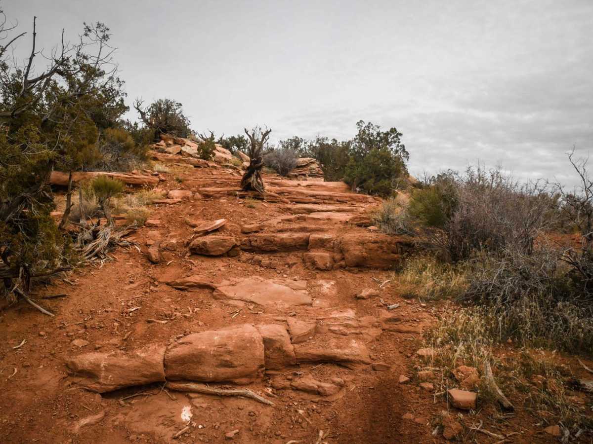 Trail 8 photo 5