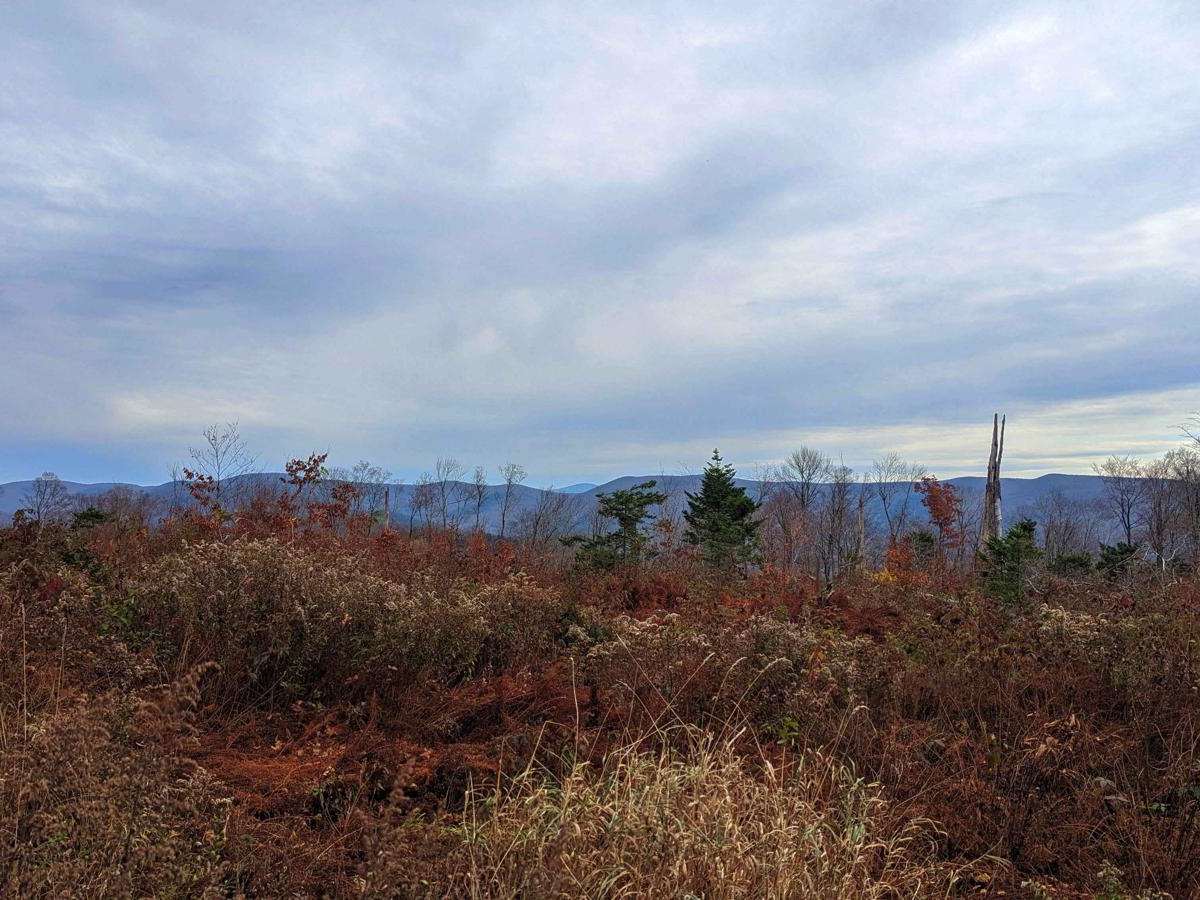 Schaeffer Road photo 3