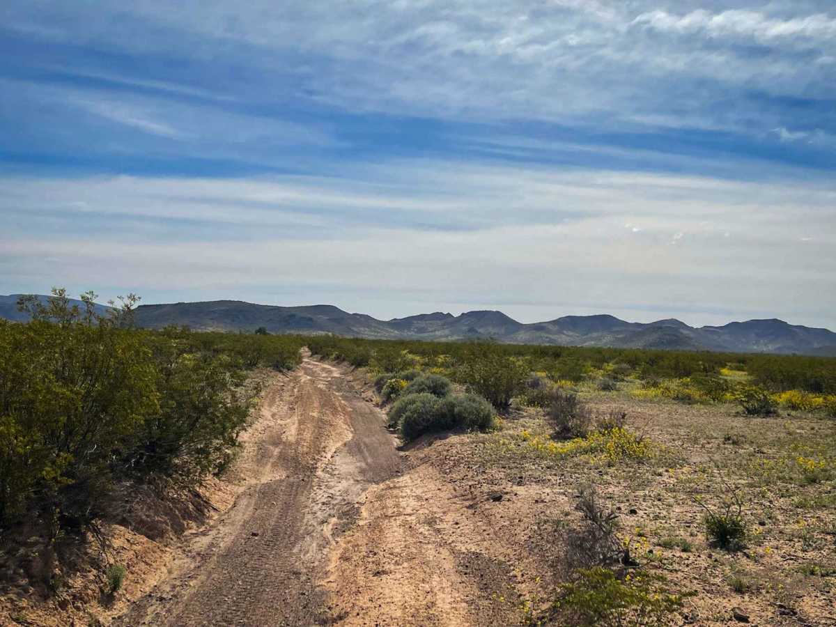 8107 Trail photo 5