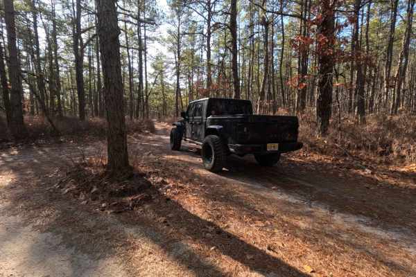 Mines Spung Road