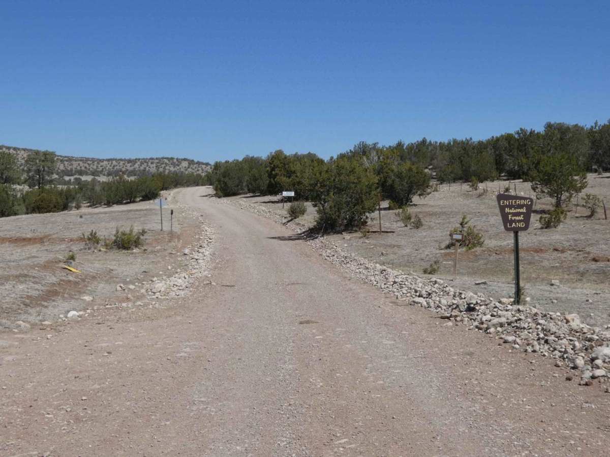 Chimney Lake to Angel Canyon (FS176) trail photo