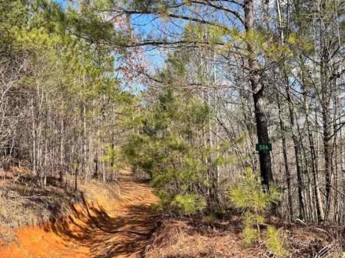 506 trail photo