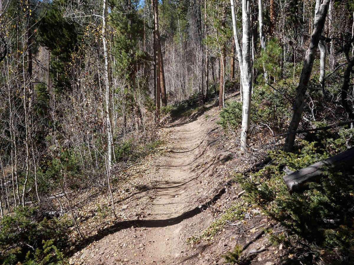 7 of 9 trail photo