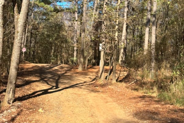 Trailhead from Campground