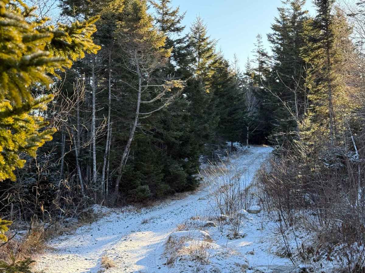 Dynamite Trail photo 3