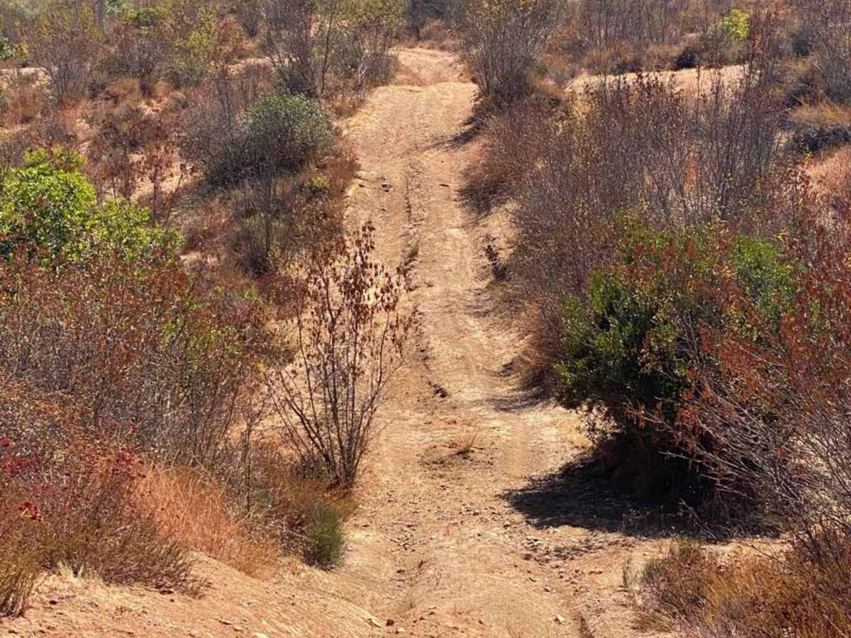 Southern Loop trail photo