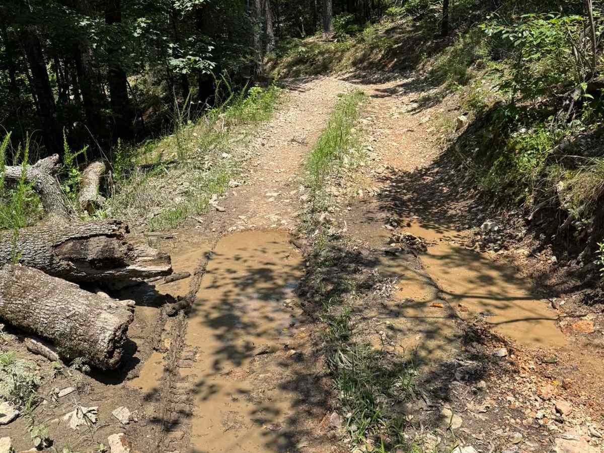 Casen's Trail photo 4
