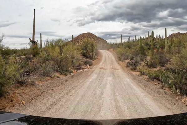 Bajada Loop, Saguaro NP