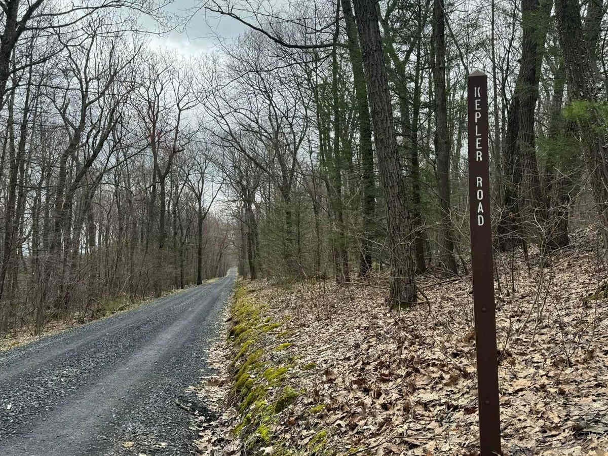 Kepler Road photo 3