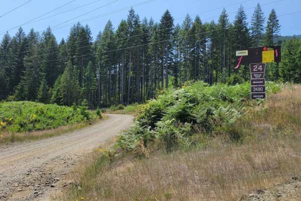 NF 24 - Jorsted Creek