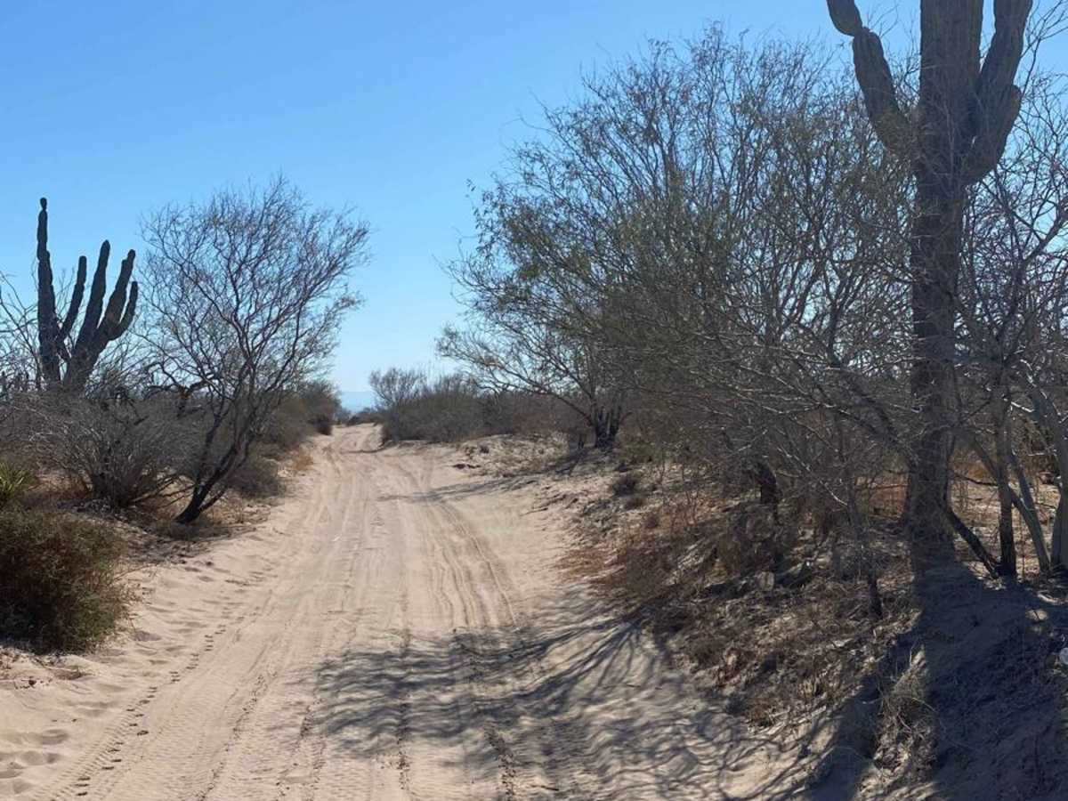 El Centenario Northwest photo 4