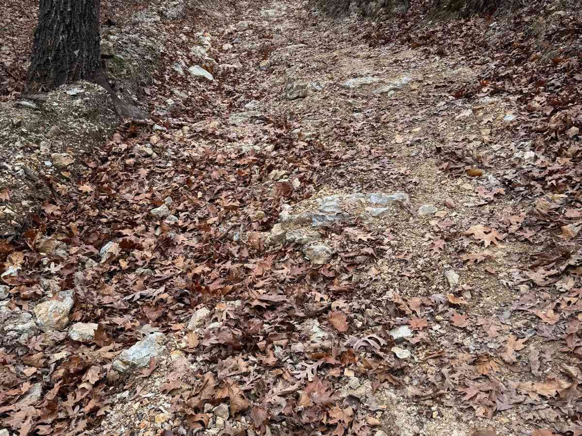 Arch Cave Cliff Drive - 274 photo 5