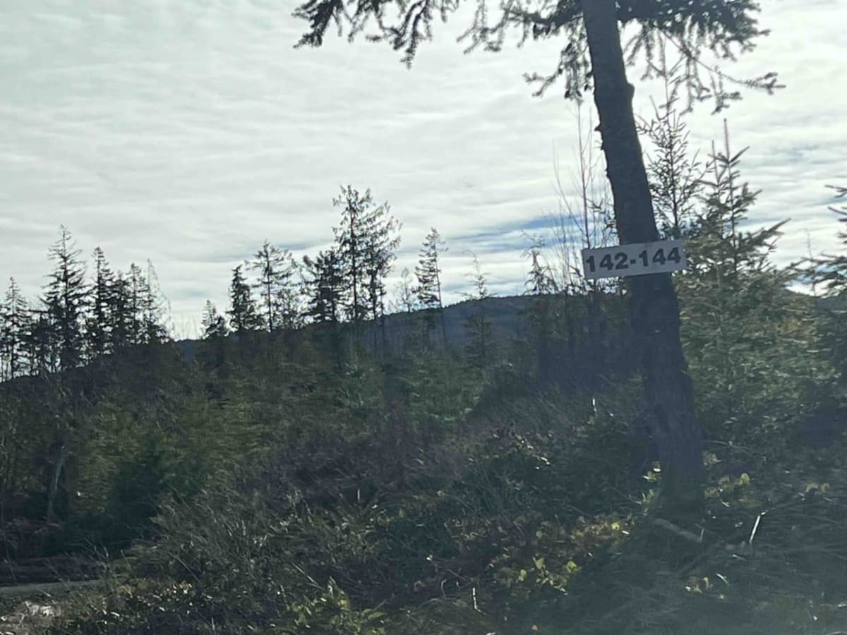 BlackJack Ridge Lookout photo 2