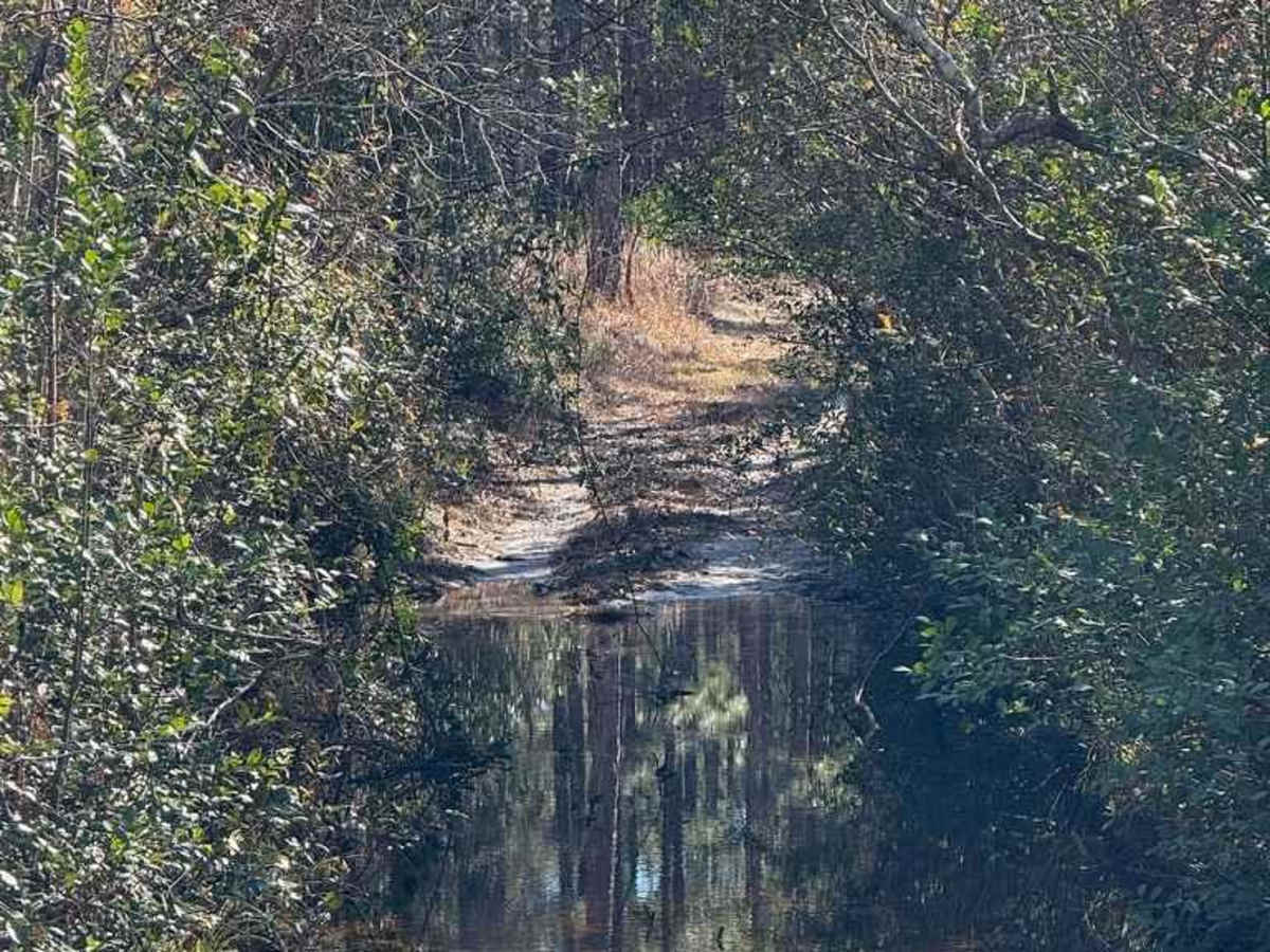 Pettiford Creek Eastern Entrances photo 3