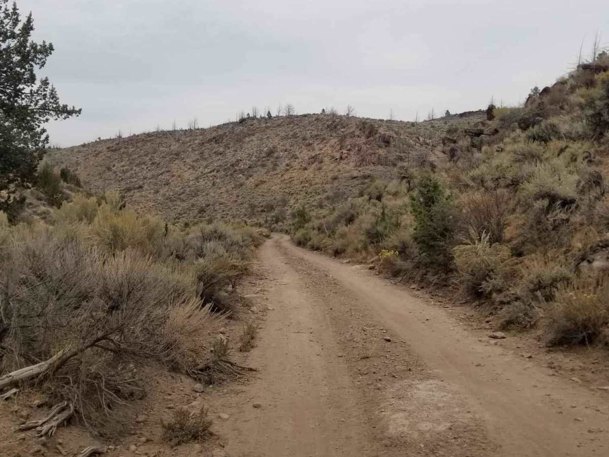 Miller Canyon photo 3