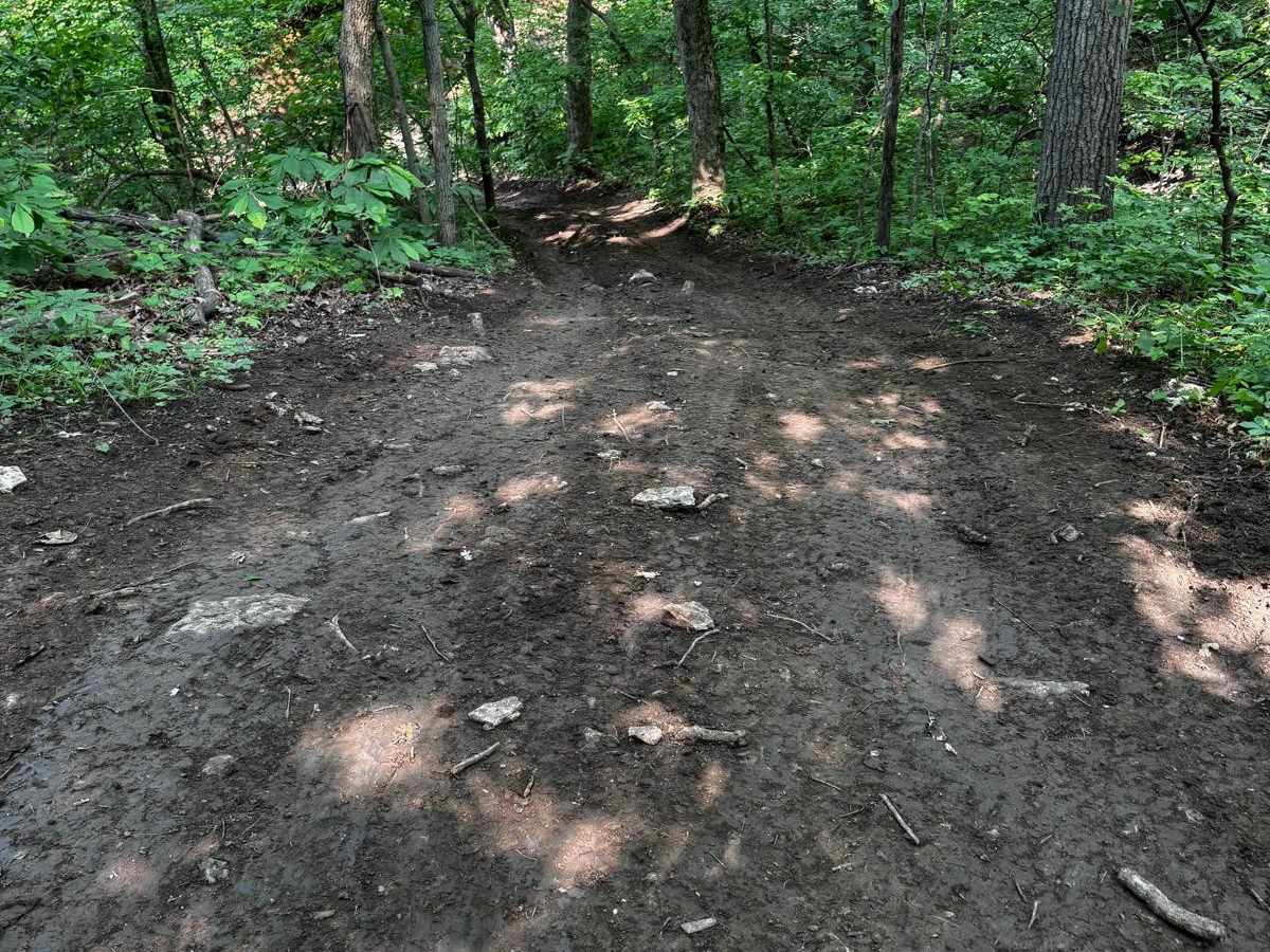 Yellow 94 trail photo