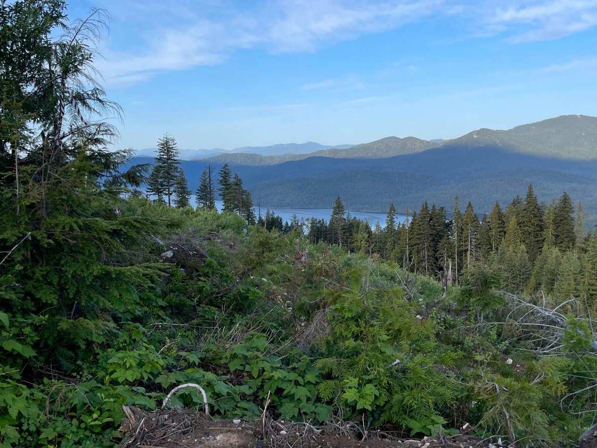 Lucky Creek Road trail photo