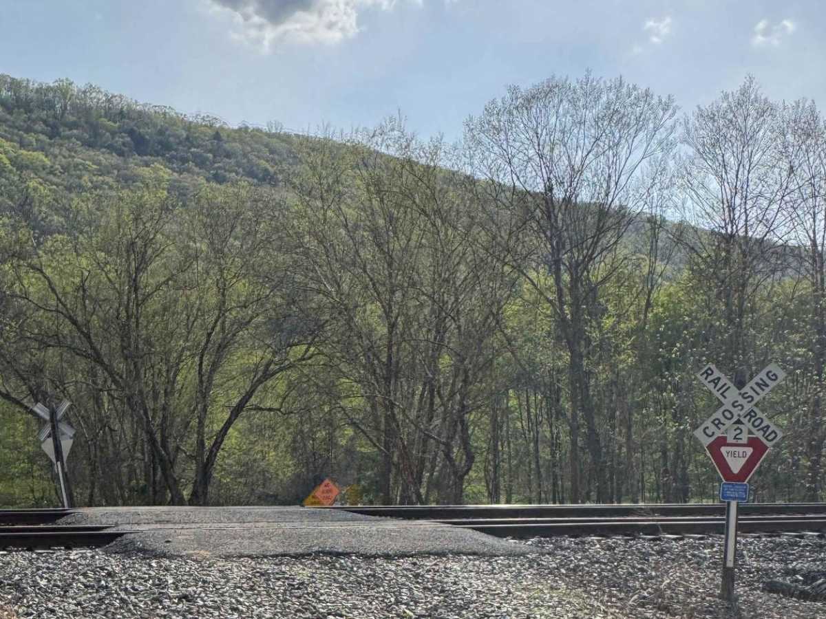 Hyner River Road photo 2