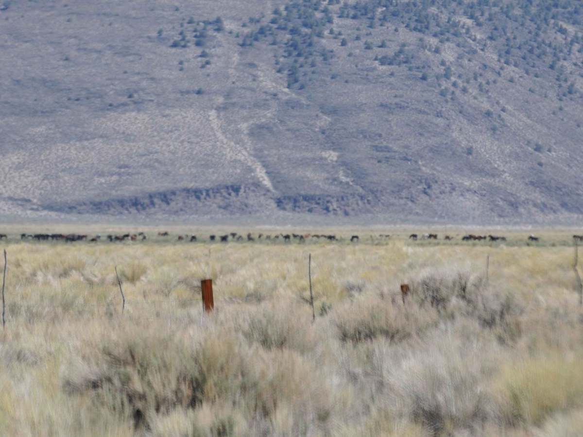 Adobe Valley to Little Huntoon Valley photo 2