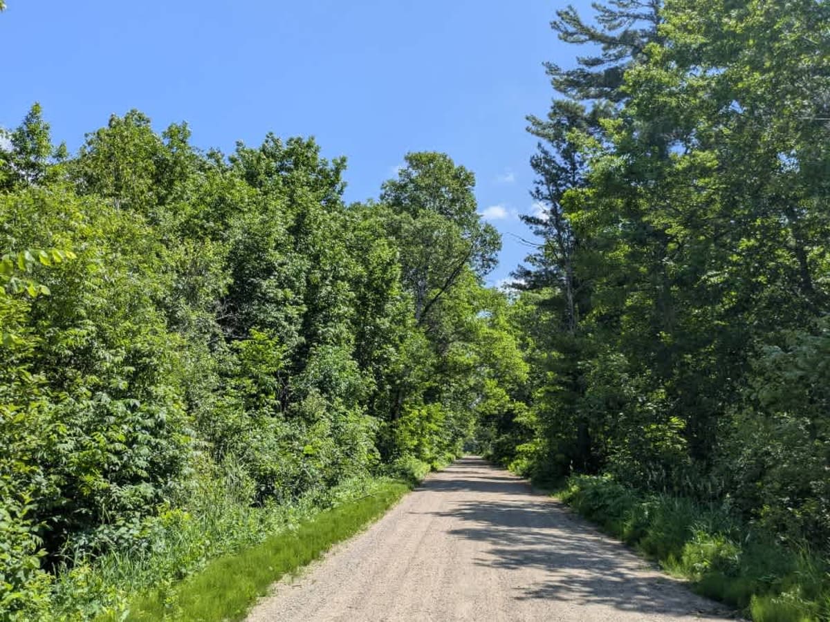 Woodtick Auto Route - FS 2107 trail photo