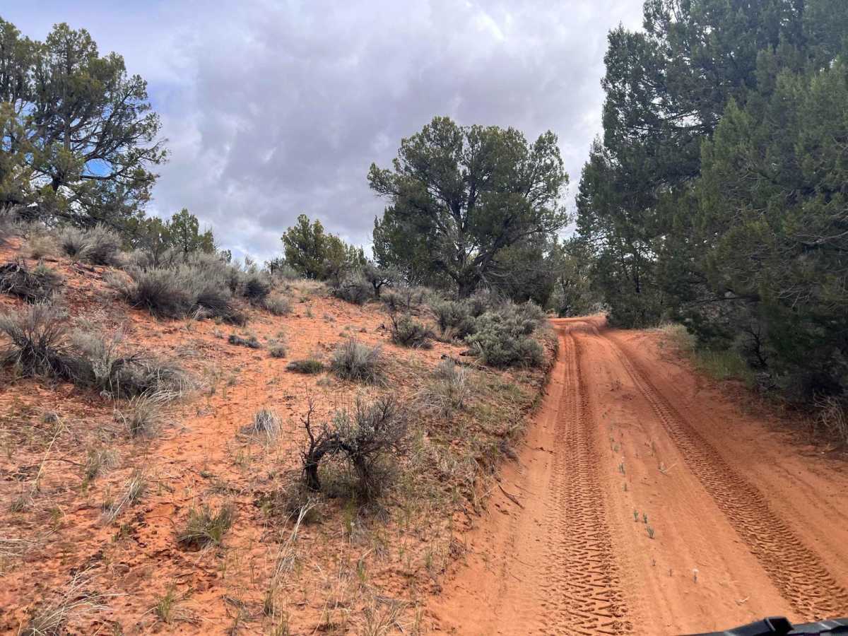Hoodoo Trail (103Q) photo 5