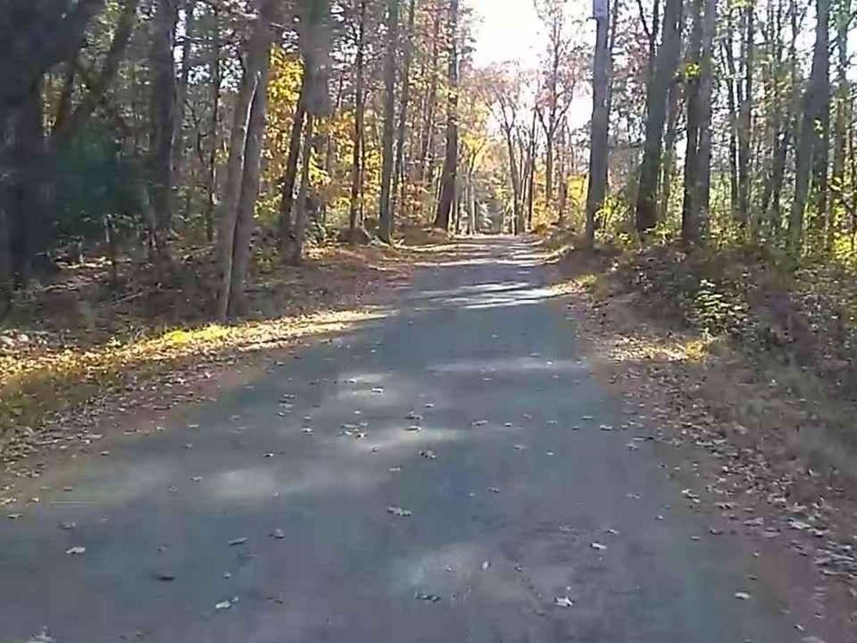 Wakefield Pond & Silver Brook Roads trail photo