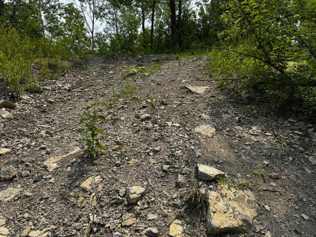Yee Haw Ledge 101 photo 4