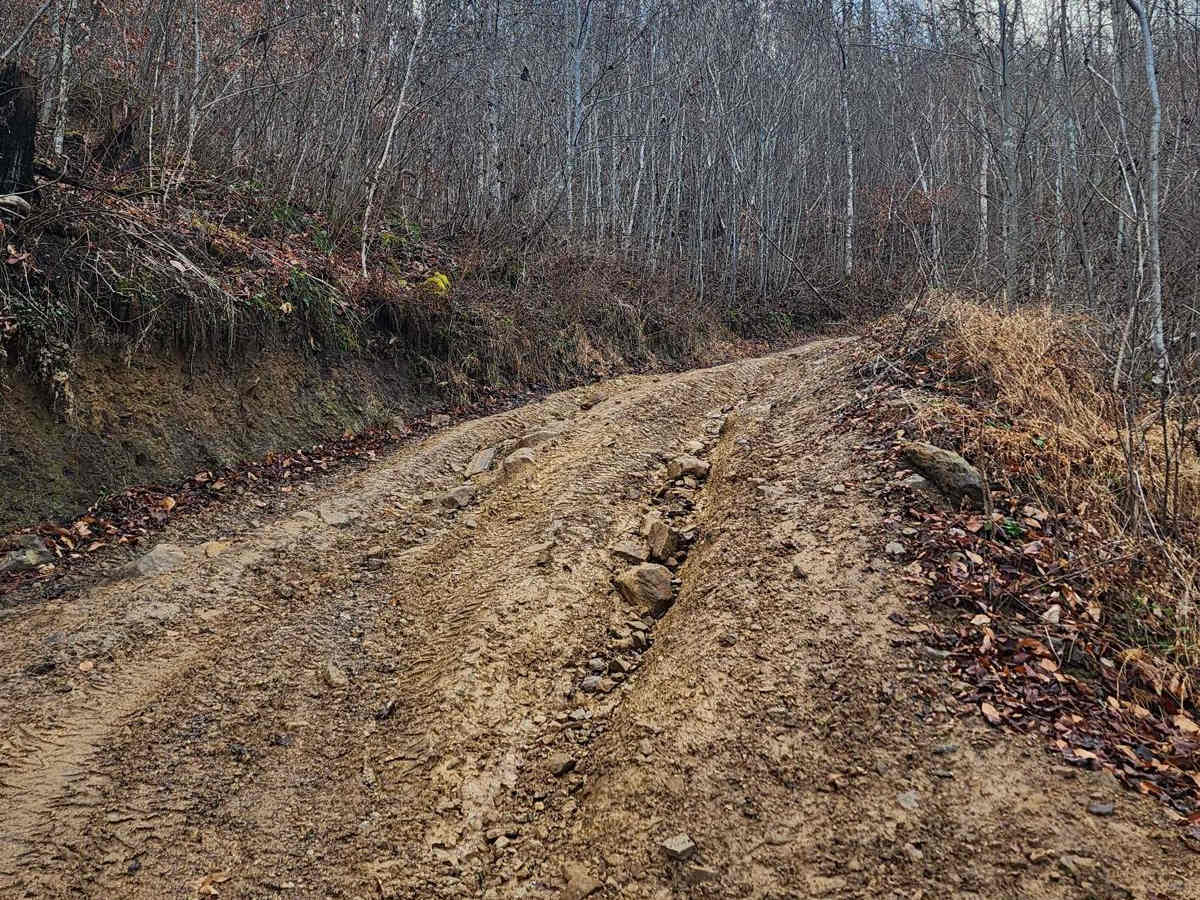 Emily Creek photo 3