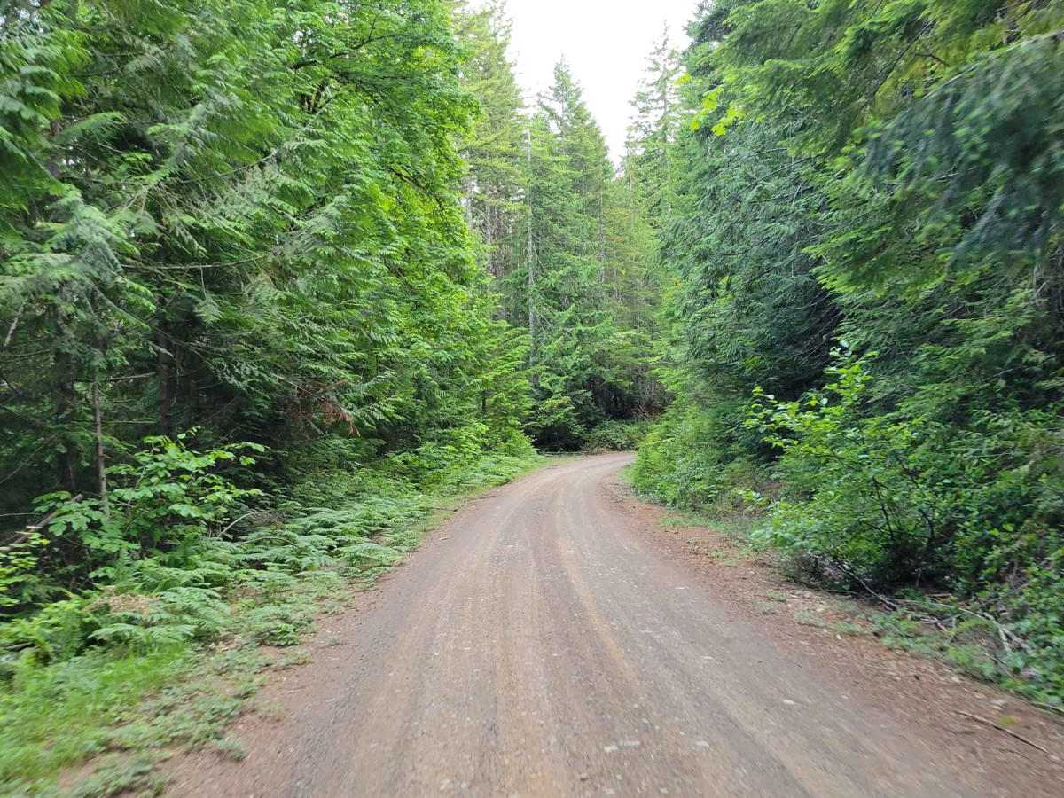 Planters Loop - FR 2340 photo 4
