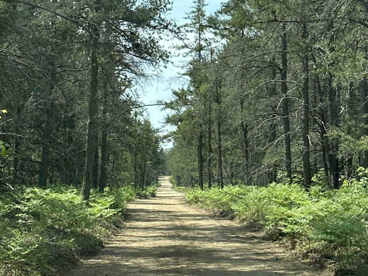 M-28 to Stongs photo 5