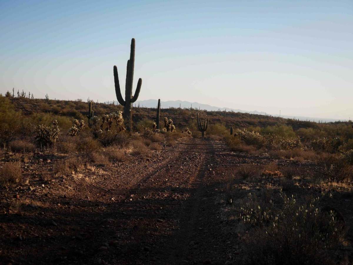 Castle Loop trail photo