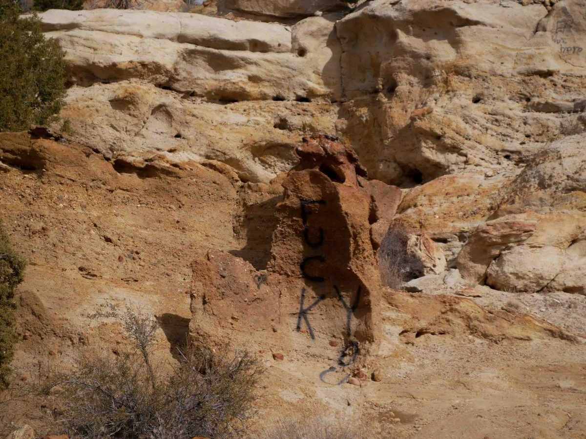 Bone Crusher trail photo