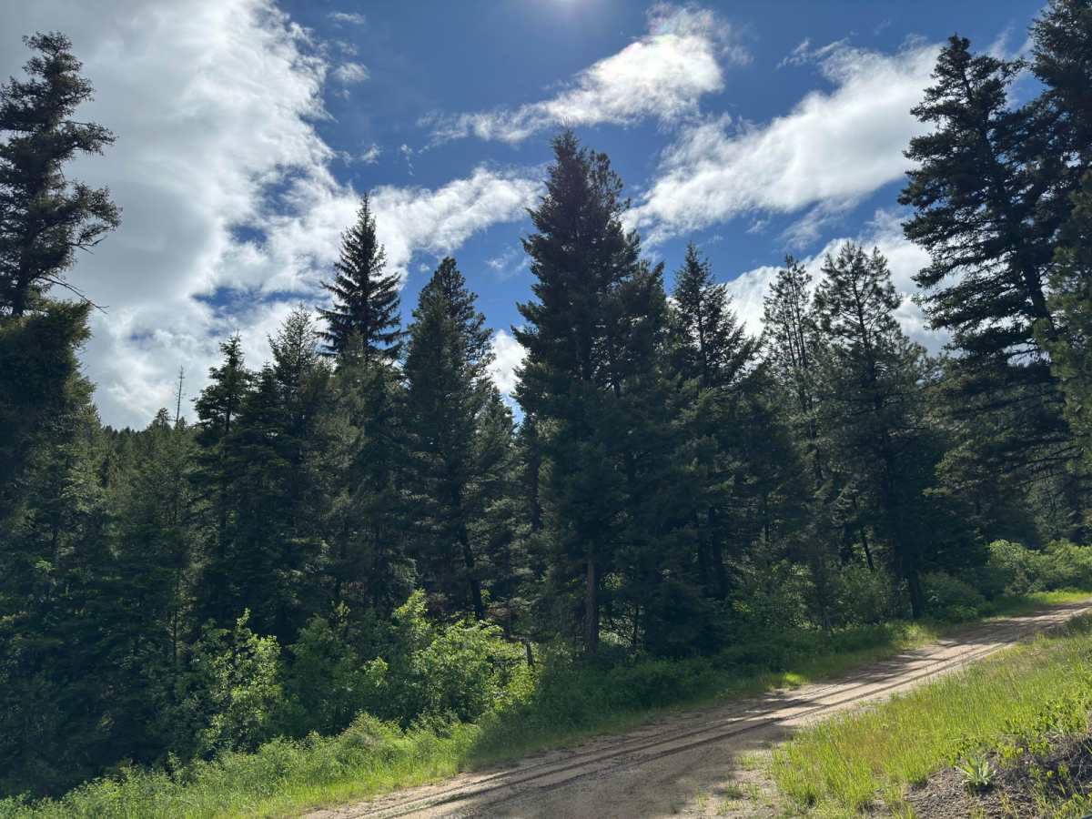 Upper Spoon Creek trail photo